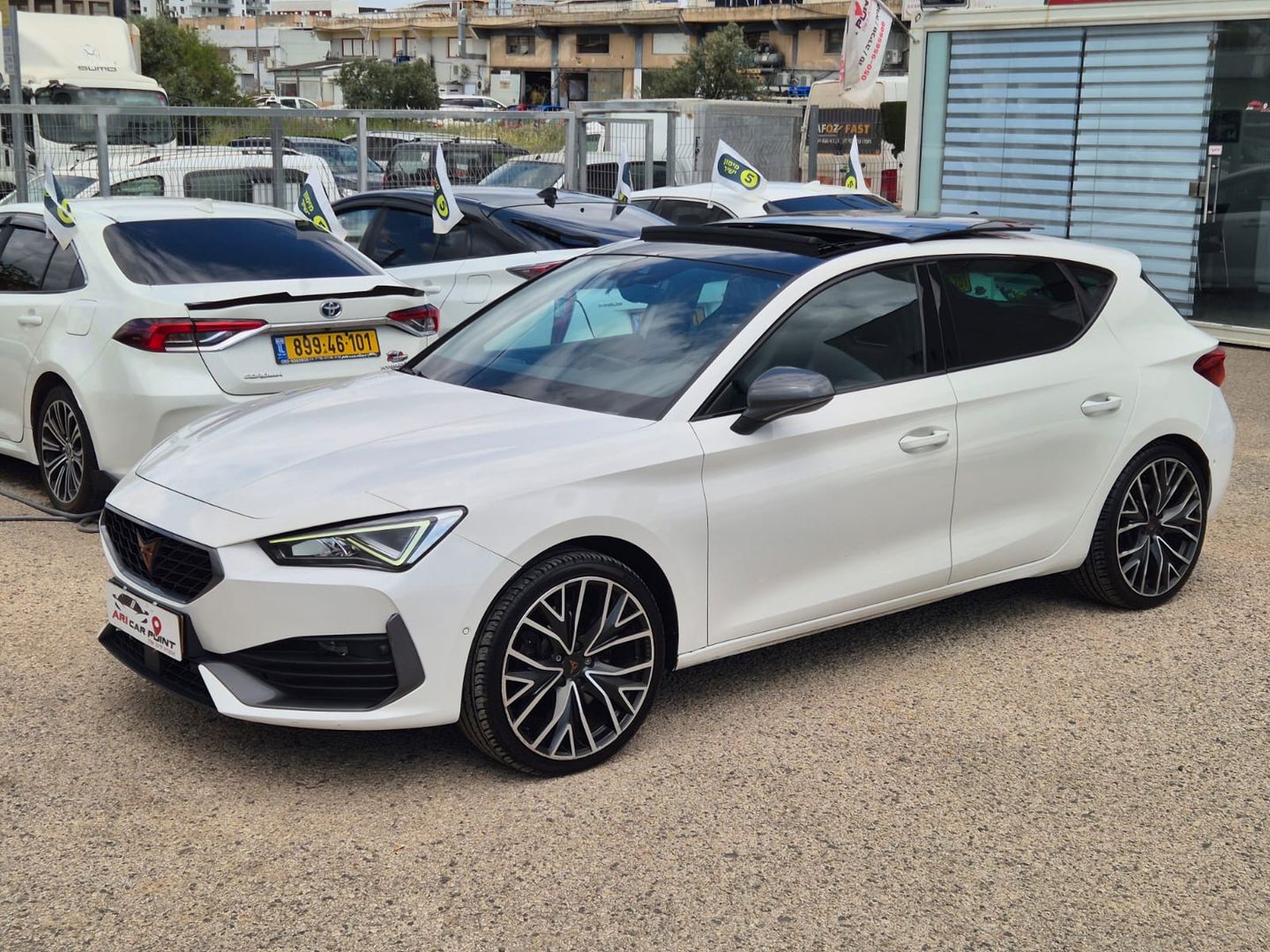 קופרה לאון Blue Blood – 3/13
