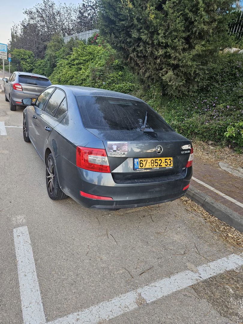 סקודה אוקטביה 2015 למכירה ב-KEYZ - תמונה 3