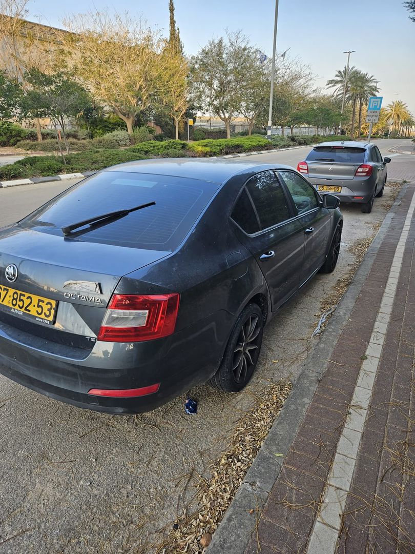 סקודה אוקטביה 2015 למכירה ב-KEYZ - תמונה 4